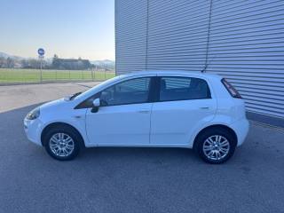 FIAT Punto usata, con Controllo trazione