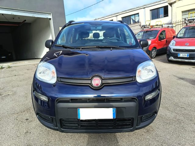 FIAT Panda usata 2