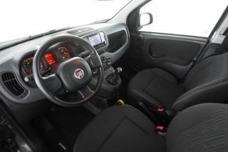 FIAT Panda usata 7