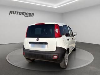 FIAT Panda usata, con Airbag Passeggero