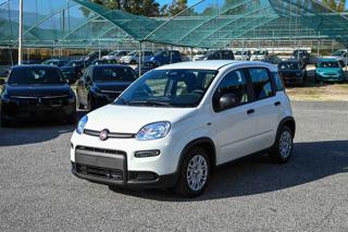 FIAT Panda 1.0 FireFly S&S Hybrid Pandina