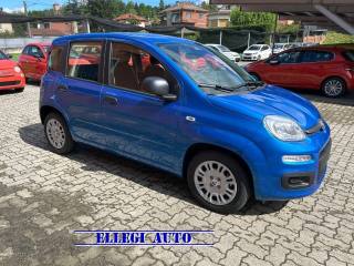 FIAT Panda usata, con Airbag Passeggero
