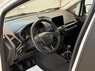 FORD EcoSport usata, con Fendinebbia