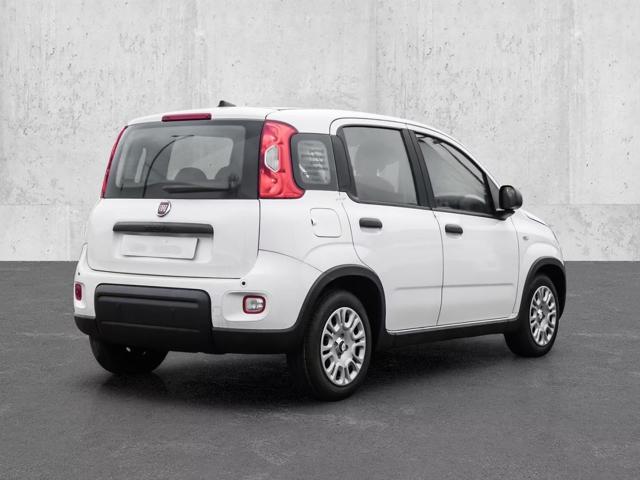 FIAT Panda usata, con Airbag