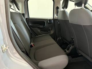 FIAT Panda usata 13