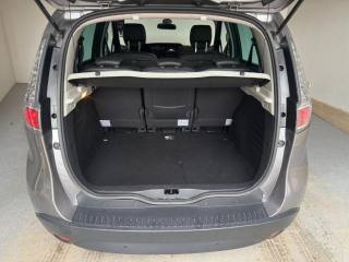 RENAULT Scenic usata, con Sensore di pioggia