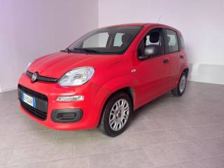 FIAT Panda usata 1