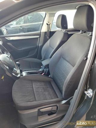 SKODA Octavia usata, con Servosterzo