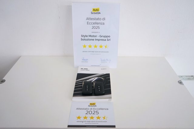 LEXUS NX 300h usata, con Interni in pelle