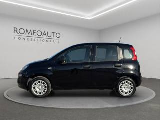 FIAT Panda usata, con Airbag Passeggero