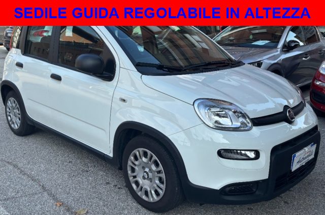 FIAT Panda usata, con Airbag Passeggero