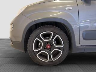 FIAT Panda usata 14