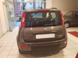 FIAT Panda usata, con Climatizzatore