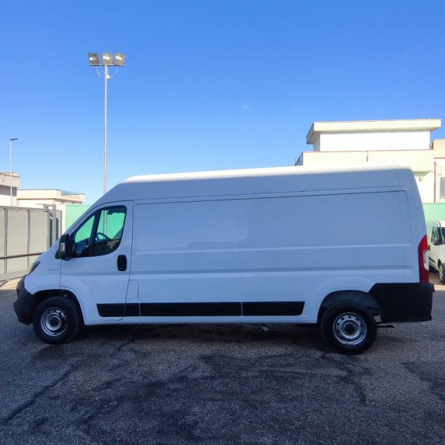 FIAT usata 5