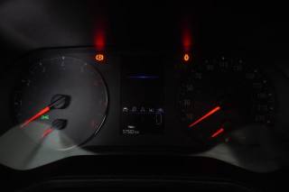 RENAULT Clio usata 13