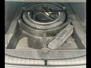 BMW 525 usata, con Fendinebbia