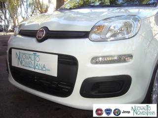FIAT Panda usata 1