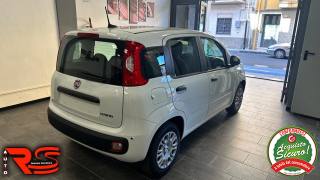 FIAT Panda usata, con Antifurto