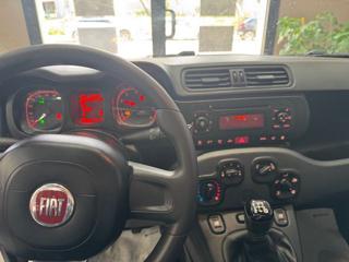 FIAT Panda usata, con Chiusura centralizzata