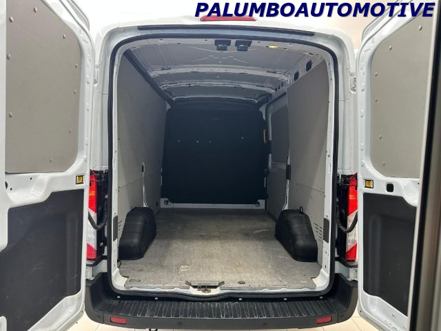 FORD Transit usata, con Fendinebbia
