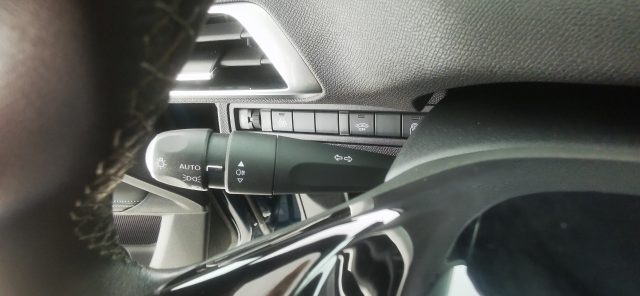 PEUGEOT 5008 usata 52