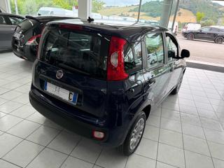 FIAT Panda usata, con Climatizzatore