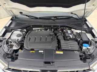 VOLKSWAGEN T-Roc usata, con Servosterzo