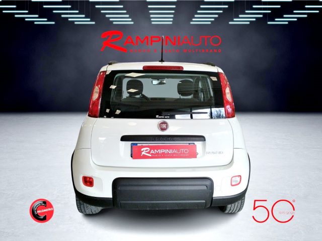 FIAT Panda usata 7