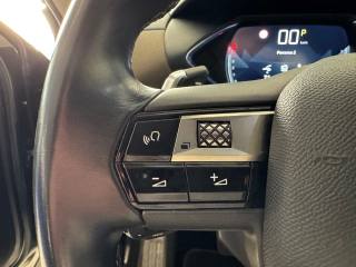 DS AUTOMOBILES DS 3 Crossback usata, con Controllo trazione