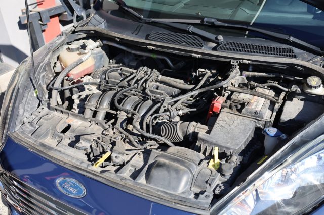 FORD Fiesta usata 95