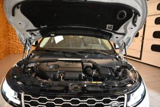 LAND ROVER Range Rover Evoque usata 74