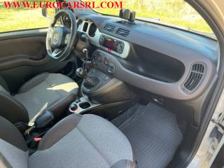 FIAT Panda usata, con Airbag testa