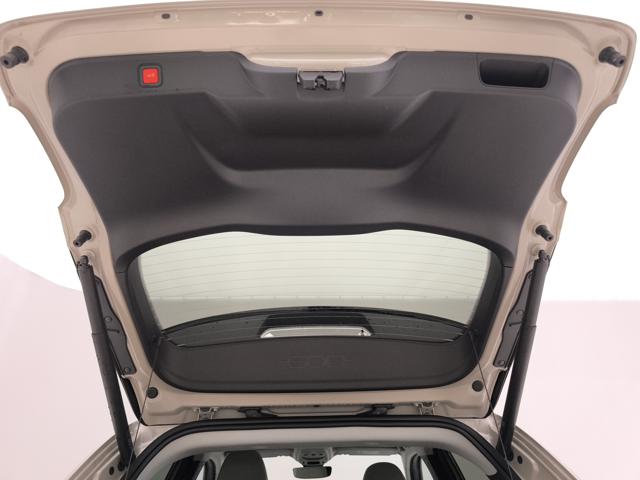 FIAT 600 usata, con Sedile posteriore sdoppiato