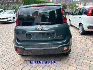 FIAT Pandina Cross usata, con Climatizzatore