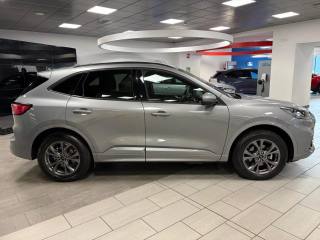 FORD Kuga usata, con Regolazione elettrica sedili