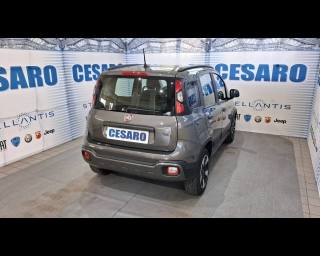 FIAT New Panda usata, con Airbag Passeggero