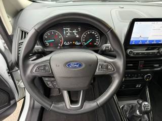 FORD EcoSport usata, con Autoradio digitale