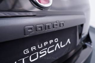 FIAT New Panda usata 26