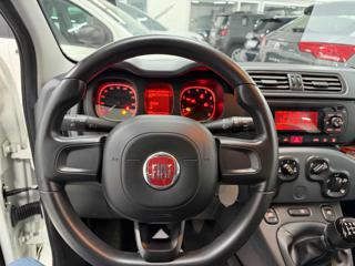 FIAT Panda usata 12