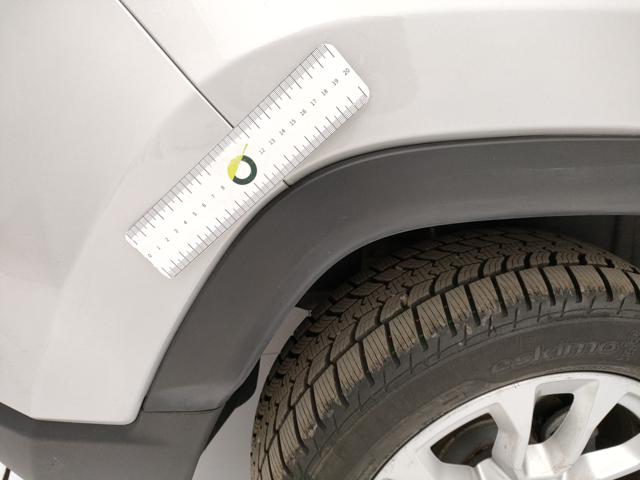 JEEP Compass usata, con Airbag testa