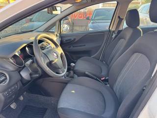 FIAT Punto usata, con Fendinebbia