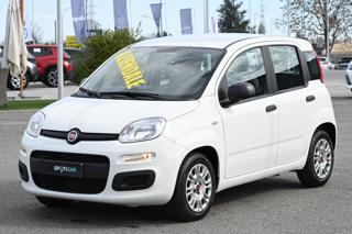 FIAT Panda usata 19