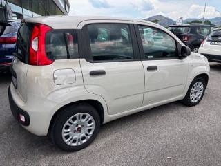 FIAT Panda usata, con Controllo trazione