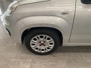 FIAT Panda usata, con Vivavoce