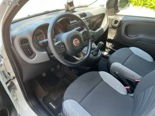 FIAT Panda usata 10