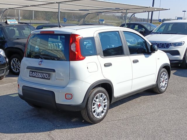 FIAT Panda usata, con Antifurto