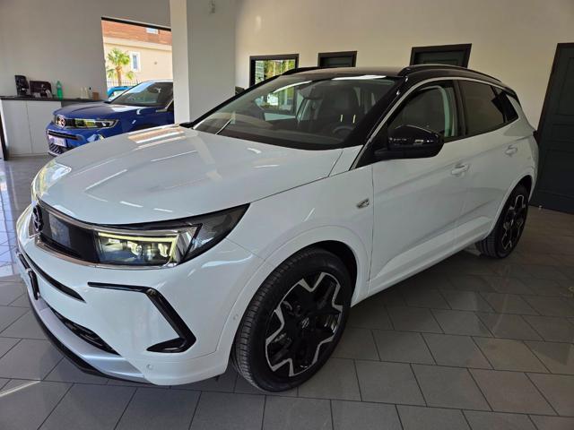OPEL Grandland usata, con Fendinebbia