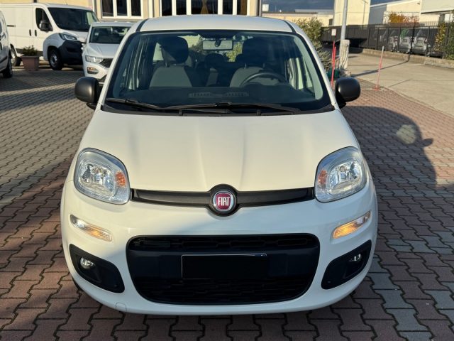 FIAT New Panda usata, con Airbag laterali