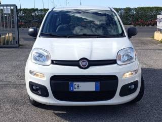 FIAT Panda usata, con Airbag