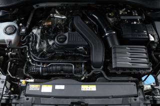 CUPRA Leon usata, con Luce d